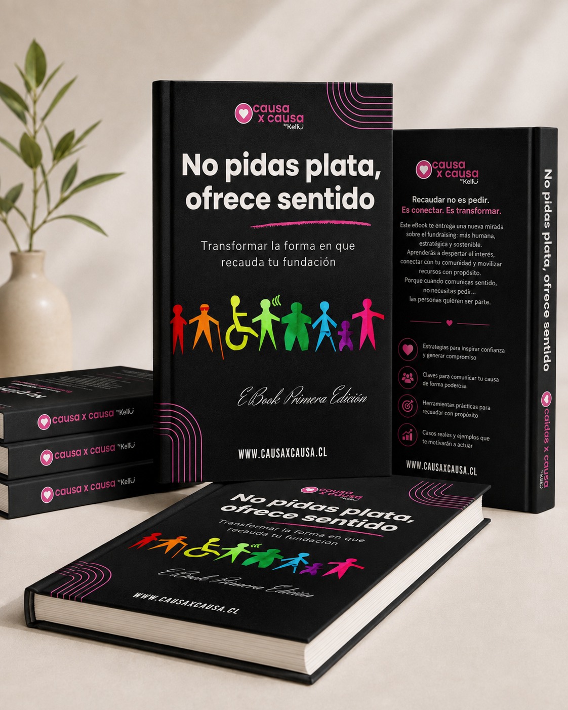 No pidas plata, ofrece sentido